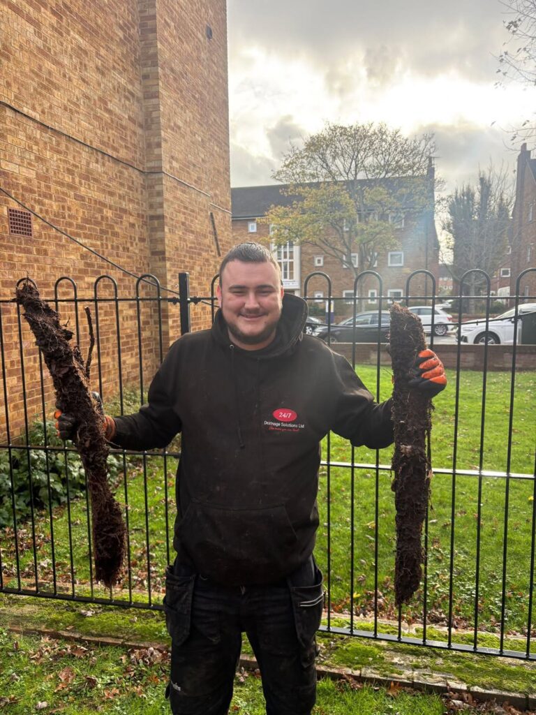 Drain Root cutting and removal